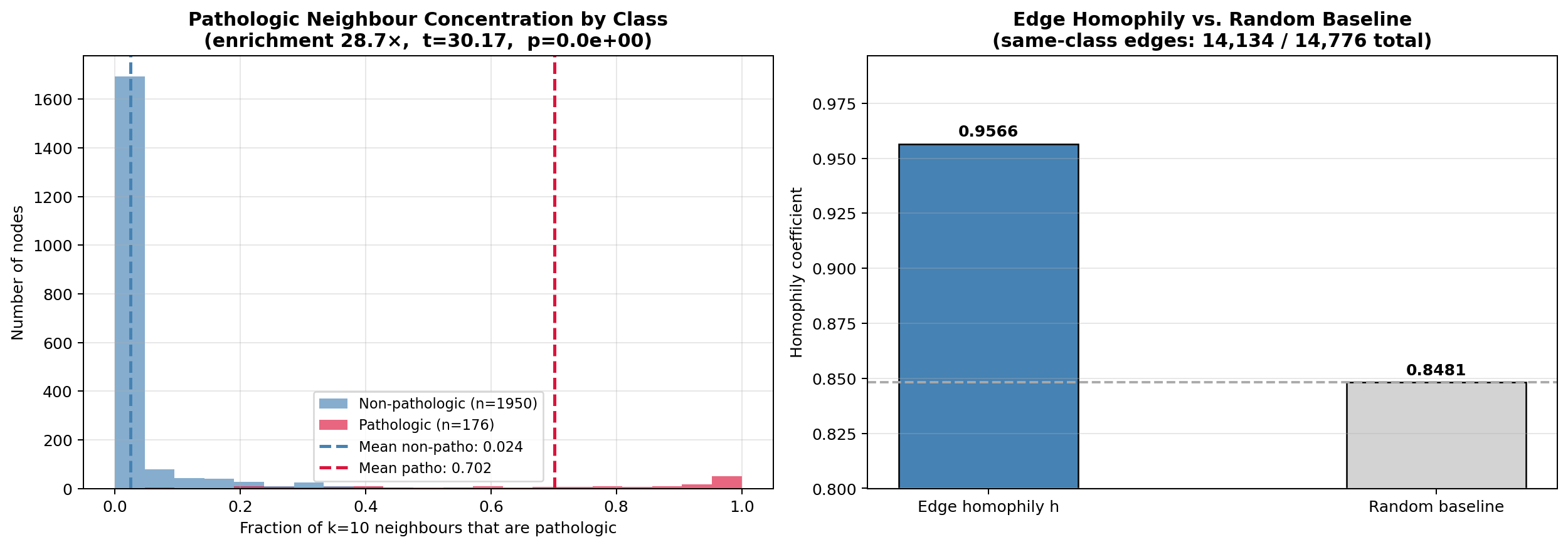 Two-panel graph-structure validation figure showing the distribution of pathologic-neighbor fractions for pathologic versus non-pathologic nodes and a bar chart comparing measured edge homophily against the random baseline.