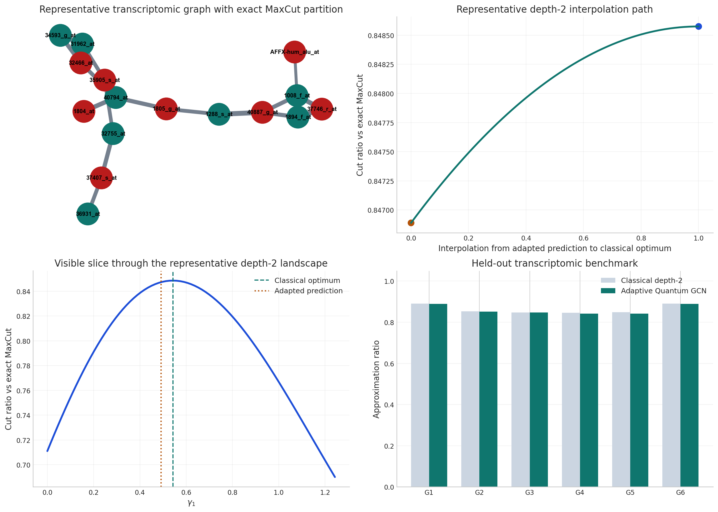 Four-panel transcriptomic benchmark figure showing the representative transcriptomic graph, the interpolation path from the learned prediction to the classical optimum, the visible depth-2 landscape slice, and the held-out quality comparison over benchmark graphs.